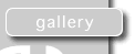select a gallery